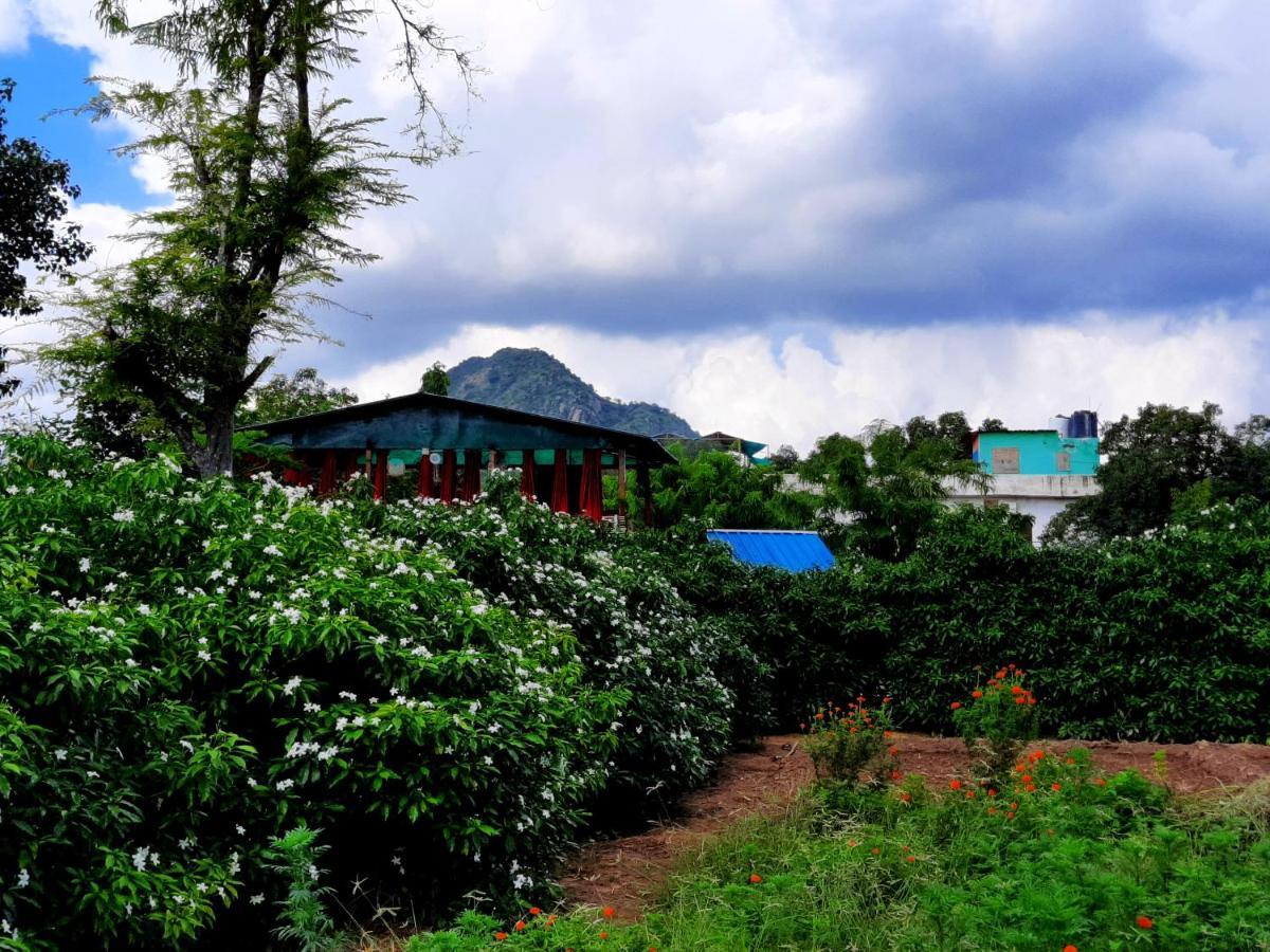Namaste India Hostel Pushkar Bagian luar foto