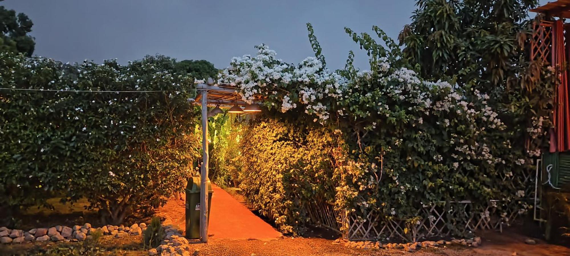 Namaste India Hostel Pushkar Bagian luar foto